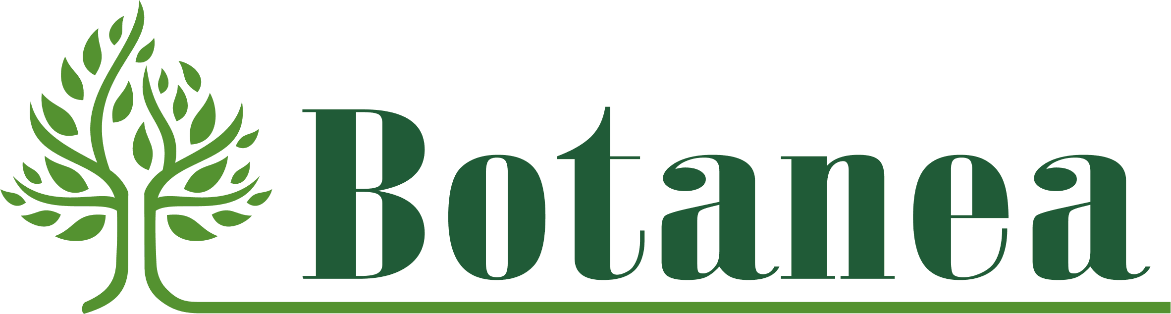 Školkařství Kouba